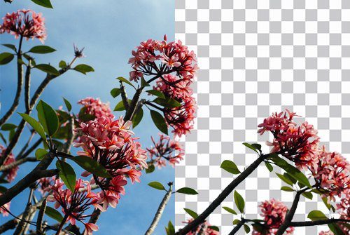 Photoshop-Compositing-Flower-Small.jpg