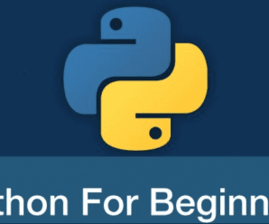 [SkillShare] Python For Absolute Beginner