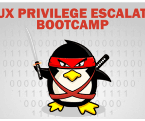 [PentesterAcademy] Linux Privilege Escalation Bootcamp