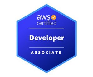 [Udemy] Amazon AWS Certified Developer Associate Practice Exams – Coupon